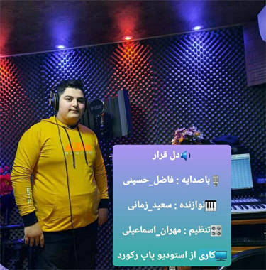 فاضل حسینی دل قرار